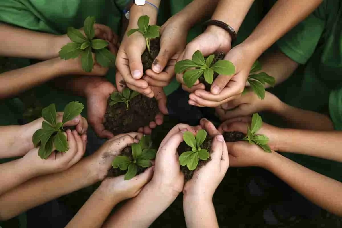 La importancia de la educación ambiental en la era del cambio climático.